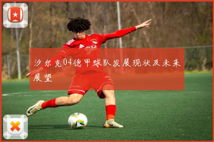 沙尔克04德甲球队发展现状及未来展望