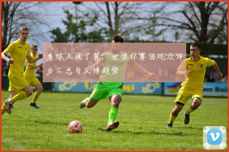 看球人说了算：世俱杯赛场观众评分汇总与反馈趋势