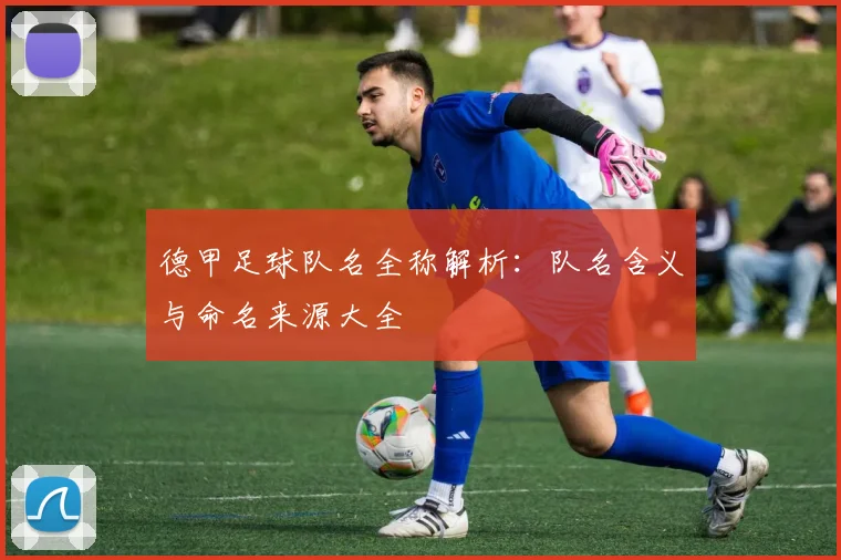德甲足球队名全称解析：队名含义与命名来源大全