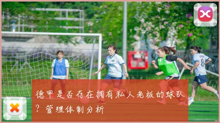 德甲是否存在拥有私人老板的球队?管理体制分析