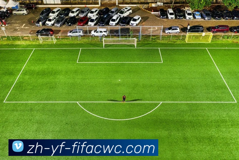 世界杯在线观看发展历程