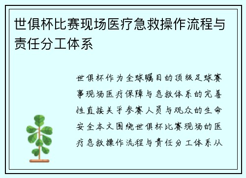 世俱杯比赛现场医疗急救操作流程与责任分工体系